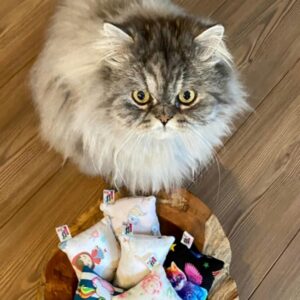 Tierisch – praktisch & verspielt für deine Vierbeiner